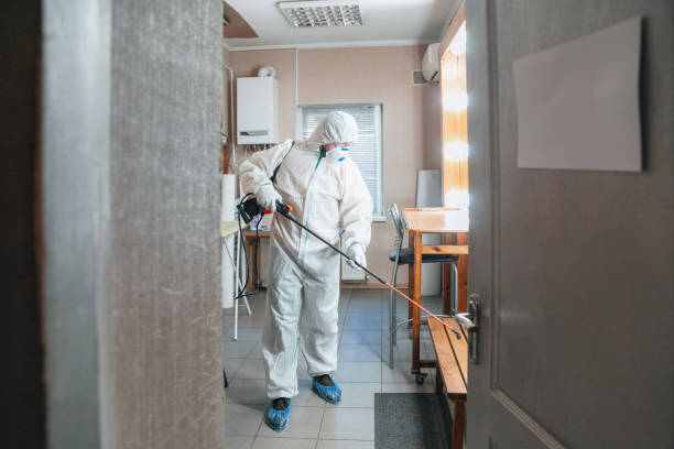 Best Mold Odor Removal Services  in USA